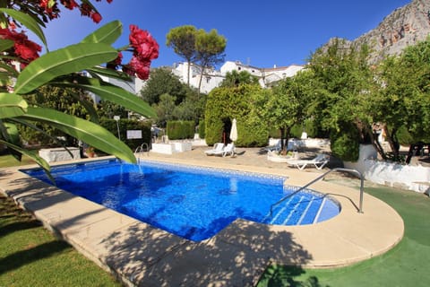 Garden, Swimming pool, Swimming pool