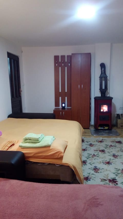 Sky Apartment in Serbia