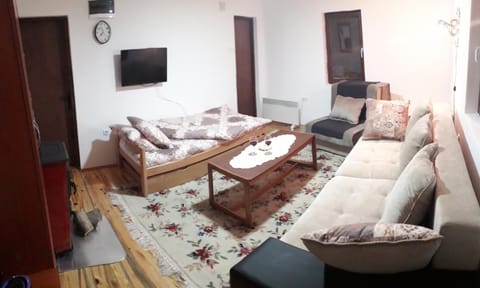 Sky Apartment in Serbia