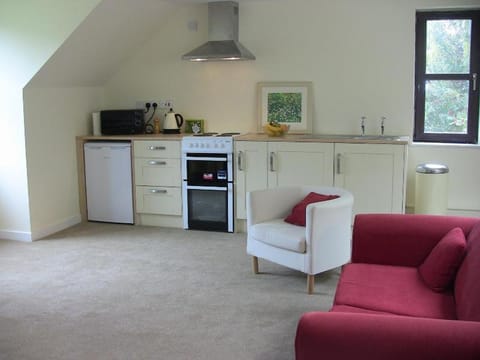 Coffee/tea facilities, Kitchen or kitchenette