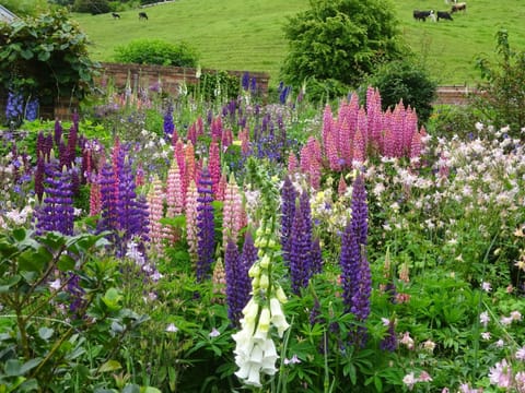 Old WesleyDale Heritage Accommodation House in Mole Creek