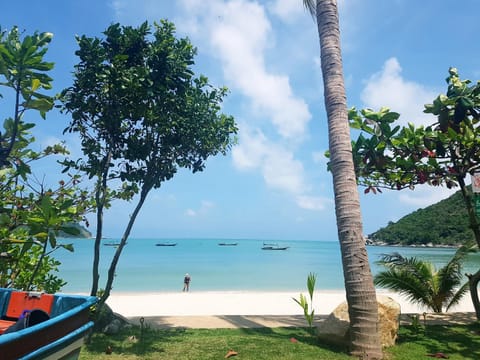 Property view