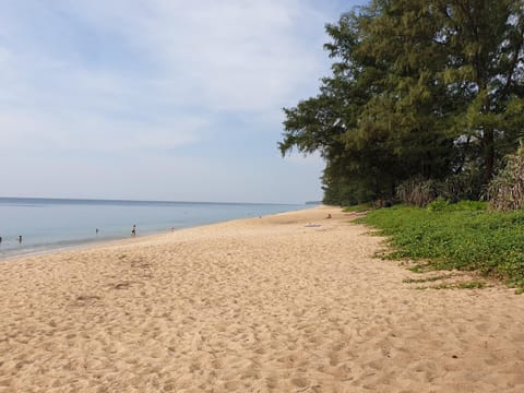 Natural landscape, Beach