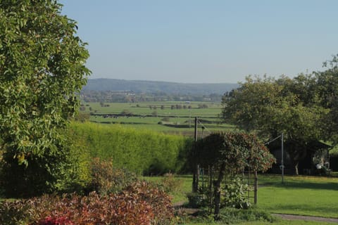 Garden view, Landmark view