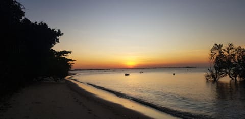 Beach, Sunset