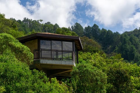 Natural landscape, Mountain view