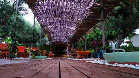 9 Mouses Apartment in Messenia