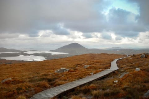 Day, Natural landscape