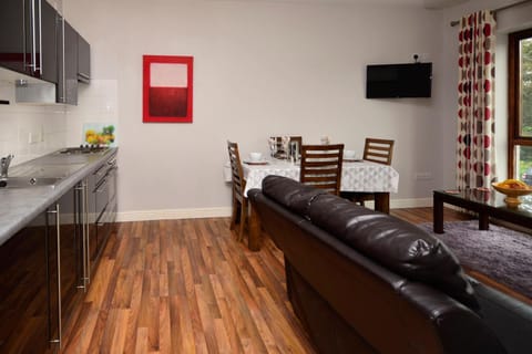 Kitchen or kitchenette, Seating area, oven, washing machine, dryer