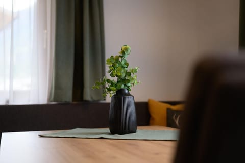 Pienz Apart Apartment in Tyrol