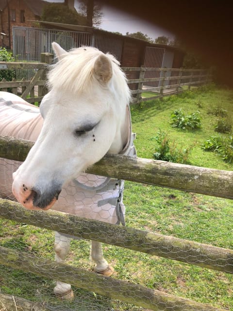 Shirley Lane Apartment in East Staffordshire District