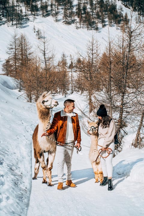 People, Activities, Winter, children, Family