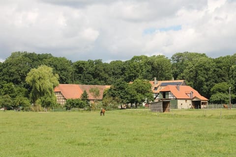 Property building, Garden, Other