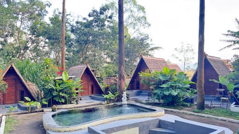 Triangle House and hot spring Vacation rental in Karangasem Regency