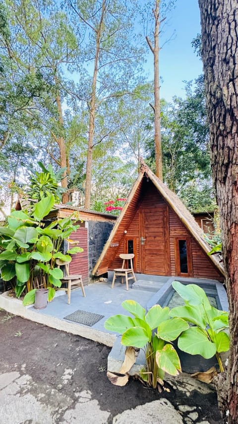 Triangle House and hot spring Vacation rental in Karangasem Regency