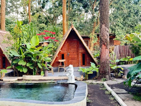 Triangle House and hot spring Vacation rental in Karangasem Regency