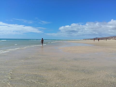 Natural landscape, Beach, Hiking