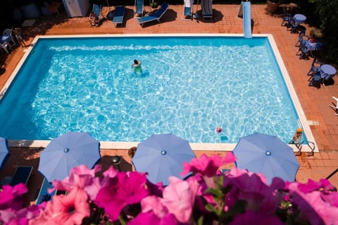 Day, Pool view, Swimming pool, Swimming pool, sunbed