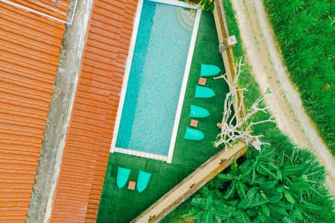 Day, Garden, Garden view, Pool view, Swimming pool, sunbed