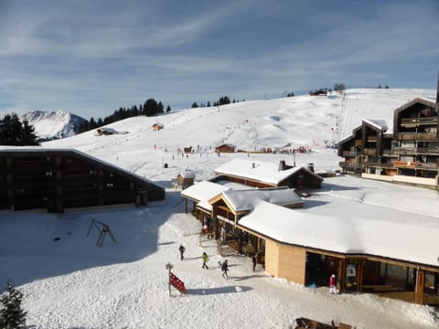 LES Herbelaines 212 Apartment in Manigod