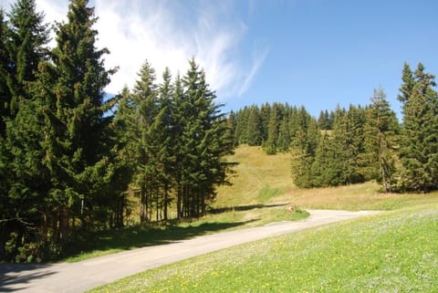 LE Refuge 4005 Apartment in Manigod