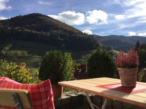 View (from property/room), Balcony/Terrace