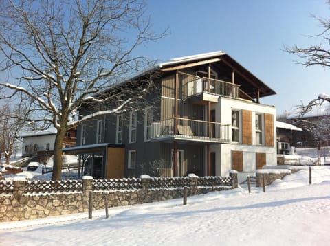 Ferienwohnungen Wagenstaller Apartment in Salzburgerland