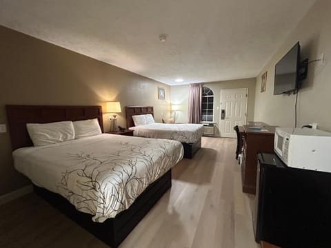 Bed, TV and multimedia, Photo of the whole room