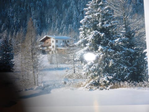 Property building, Winter