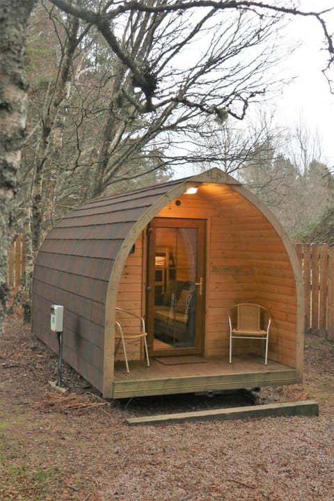 Pine Marten Bar Glenmore Pods Capsule hotel in Scotland
