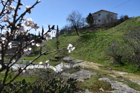 Spring, Day, Natural landscape