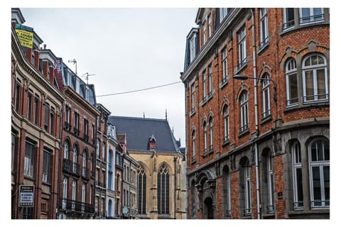 Grand appart 85m2 de standing, hyper centre/gare Apartment in Lille