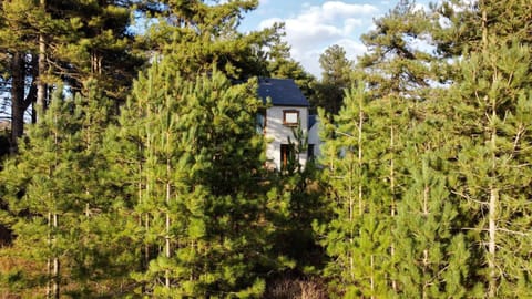 Property building, Patio, Patio, Garden, Garden, Balcony/Terrace, Balcony/Terrace, Garden view, Garden view, sunbed