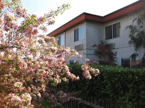 Acorn Motor Inn Motel in Oak Harbor