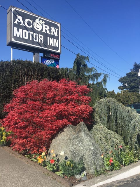 Acorn Motor Inn Motel in Oak Harbor