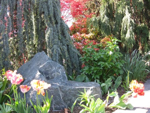 Acorn Motor Inn Motel in Oak Harbor