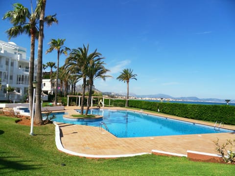 Bird's eye view, Garden, Swimming pool