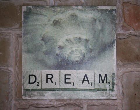 High Palms (HPK) Guesthouse & kite school Bed and Breakfast in Western Cape