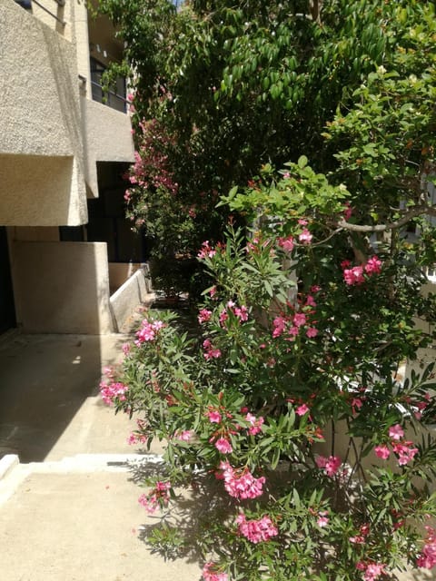 Property building, Facade/entrance, Garden