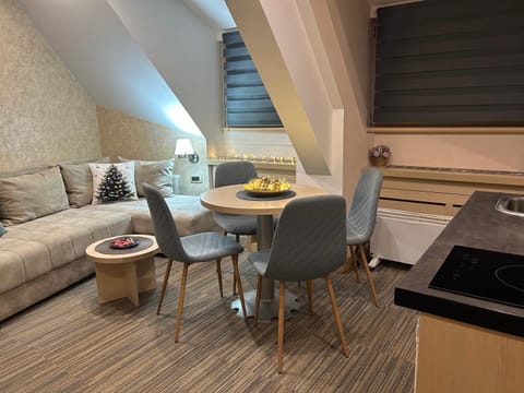 Tri-M Konaci Apartment in Serbia