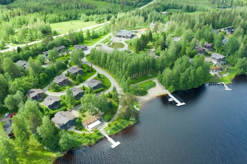 Bird's eye view, Summer, Lake view