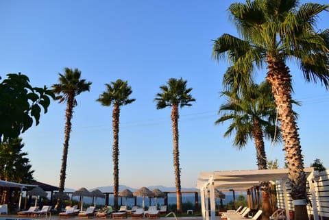 Villa Eugenia Apartment hotel in Euboea