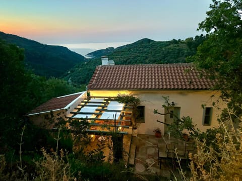 Property view