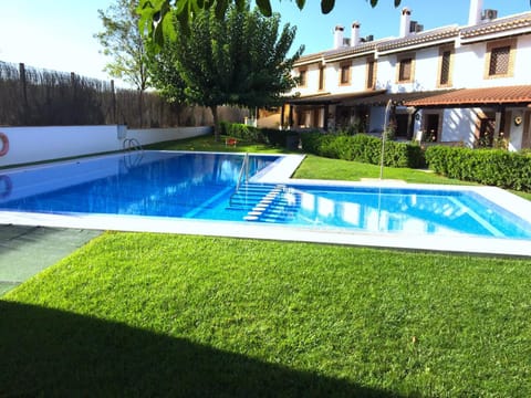 Garden, Pool view, Swimming pool