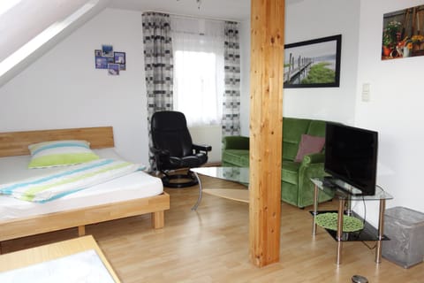 Bed, TV and multimedia, Living room, Photo of the whole room, Seating area, Bedroom, hair dresser
