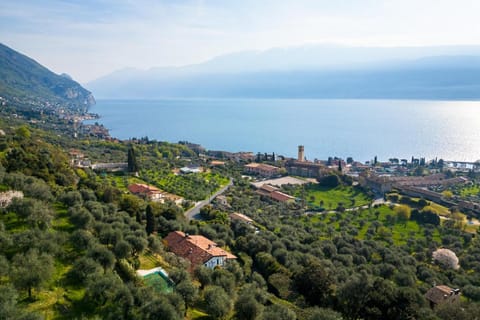 Lake view