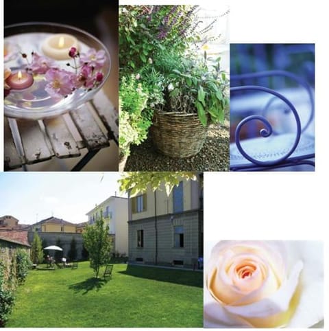 Garden, Garden view