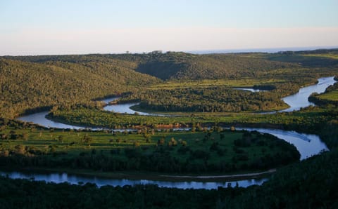 Bird's eye view, On site, River view