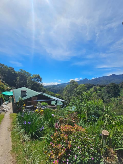 Nearby landmark, Garden, Garden view