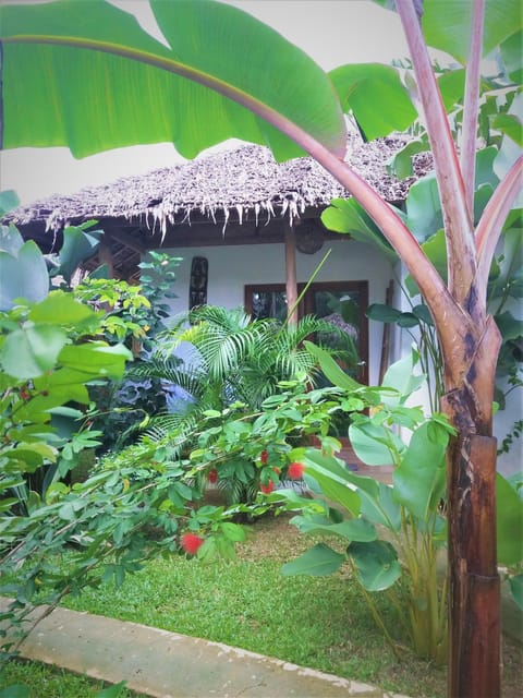 Patio, Facade/entrance, Garden